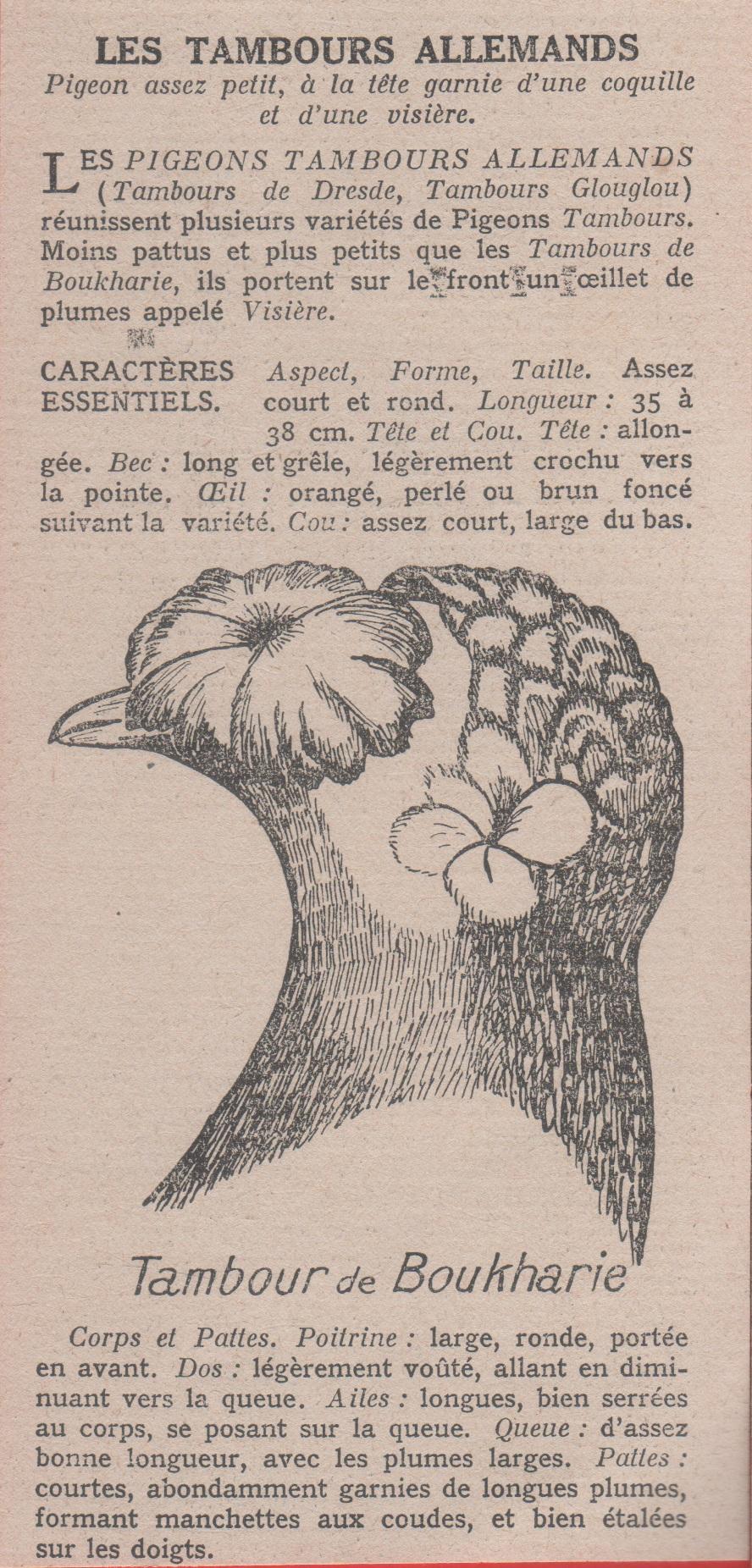 Le Tambours Allemands. Stampa 1926
