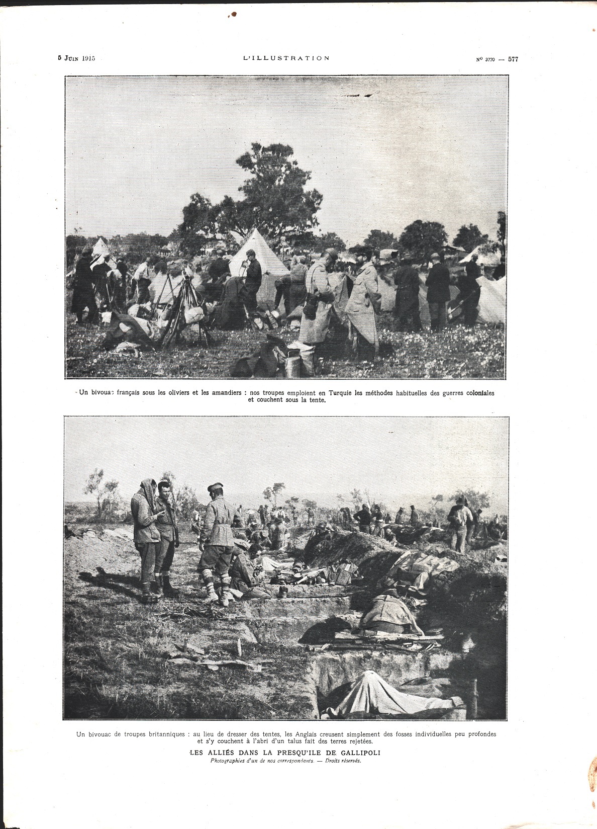 Les allies dans la presqu'ile de Gallipoli (WWI). Immagine 1915