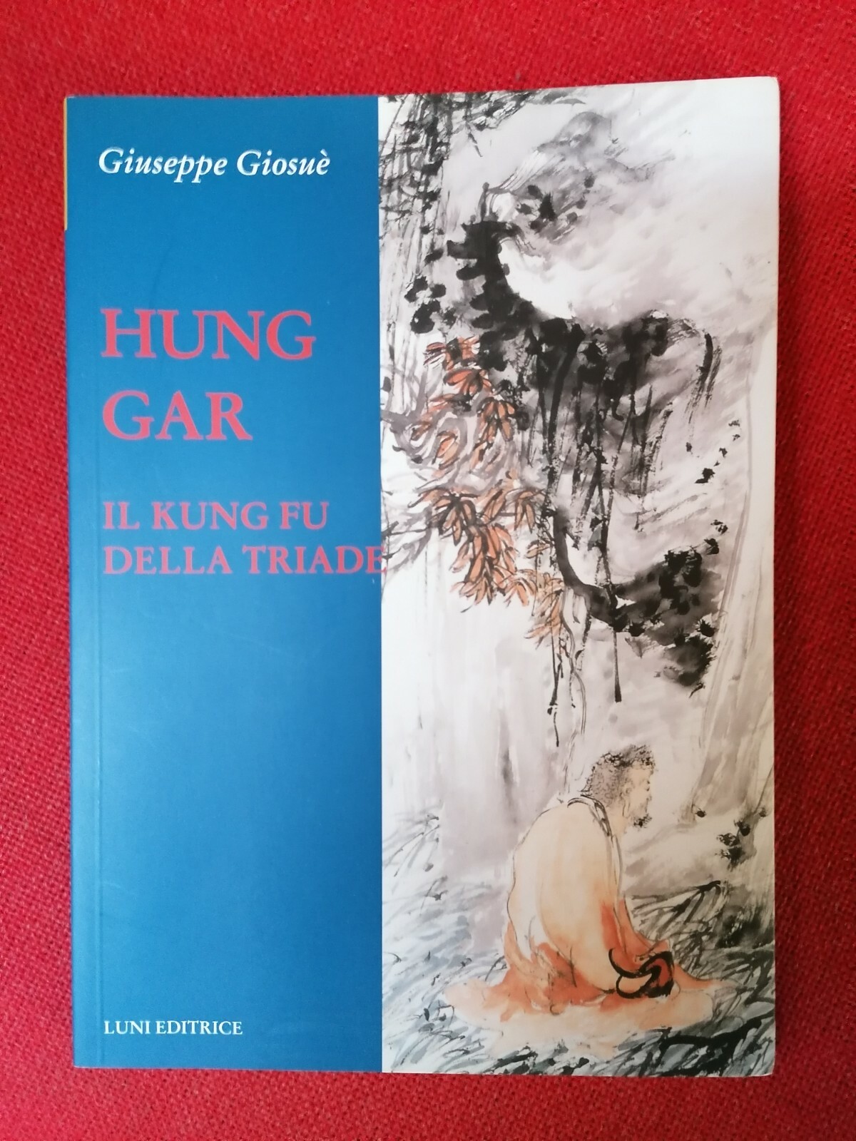 LIBRO HUNG GAR. IL KUNG FU DELLA TRIADE GIOSUè GIUSEPPE …