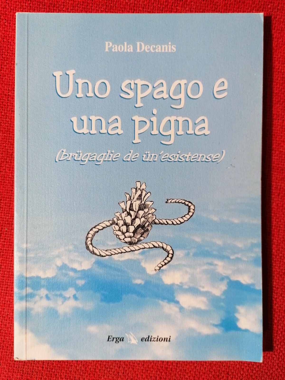 LIBRO UNO SPAGO E UNA PIGNA - PAOLA DECANIS - …