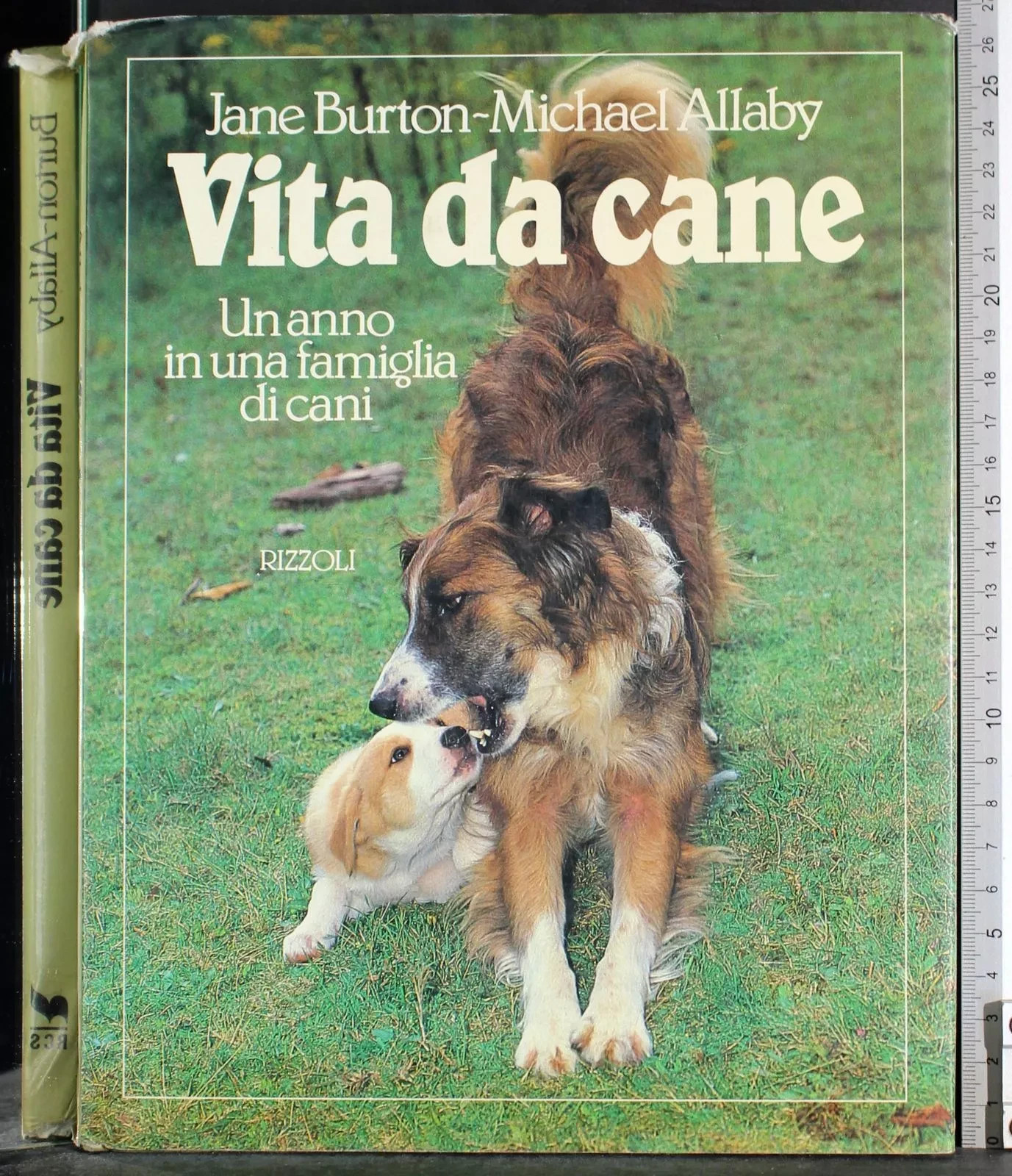 LIBRO VITA DA CANE BURTON JANE - ALLABY MICHAEL RIZZOLI …