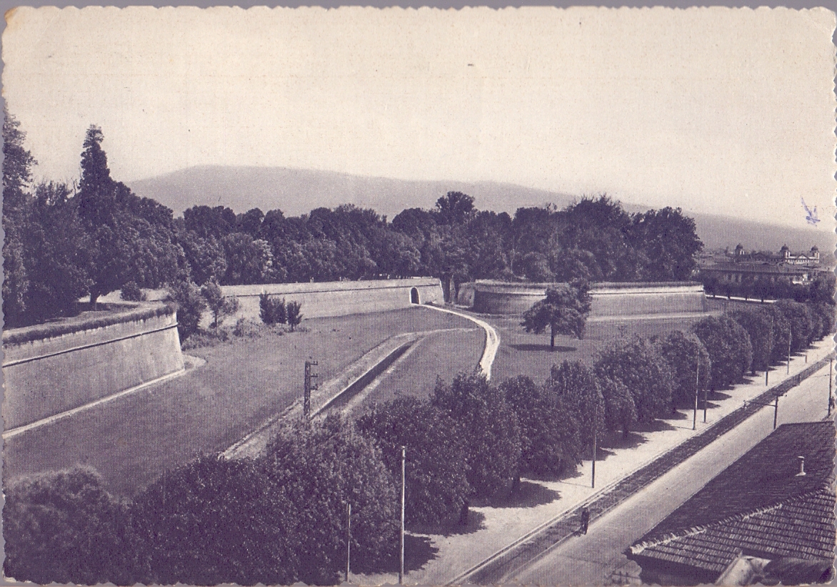 Lucca. Veduta esterna delle mura. Viaggiata