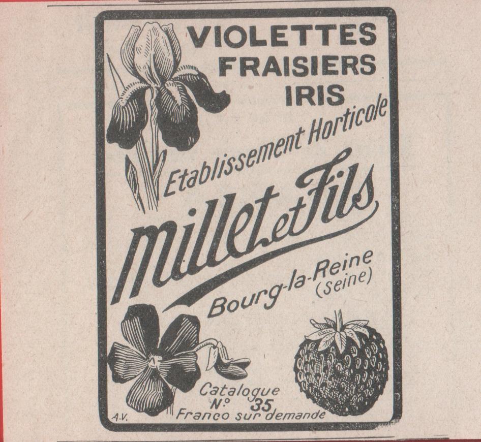 Millet et Fils. Bourg la Reine. Violettes, fraisiers, iris. Advertising …