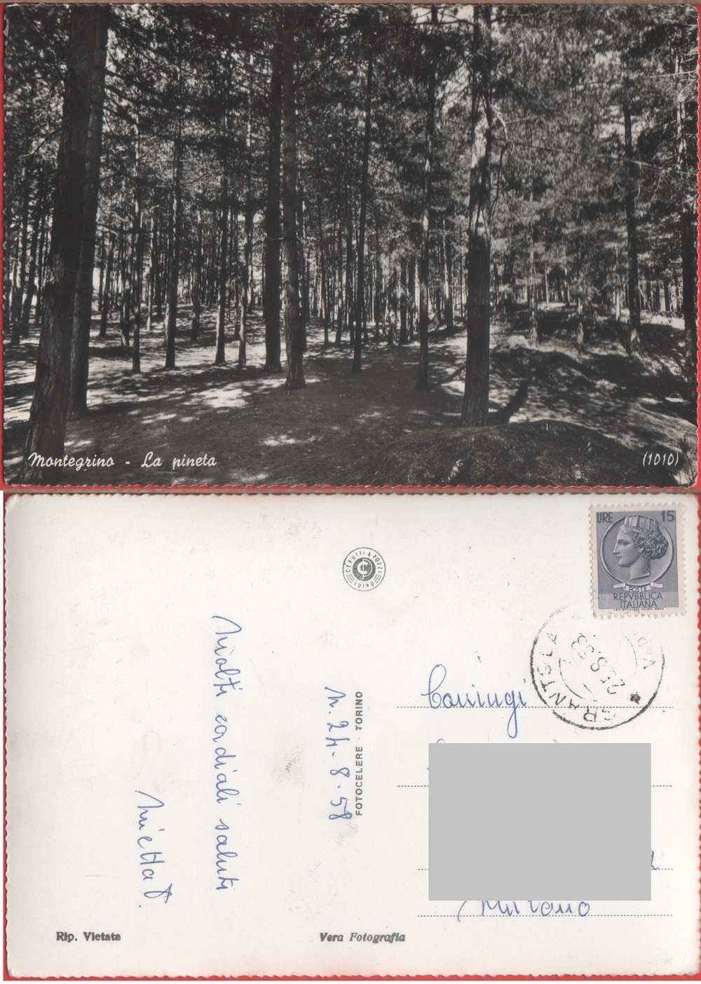 Montegrino (VA). La pineta. Viaggiata 1958