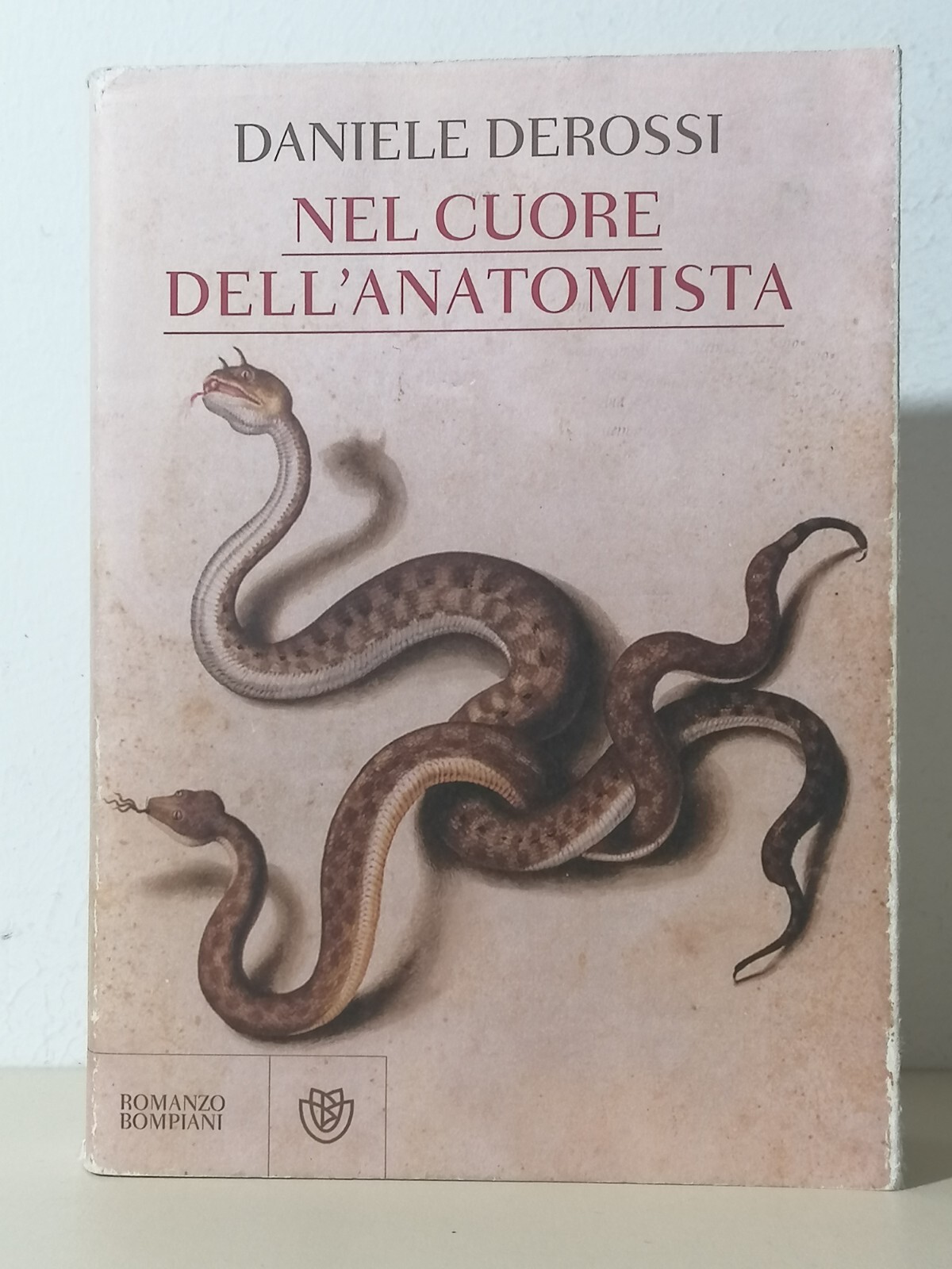 Nel cuore dell'anatomista