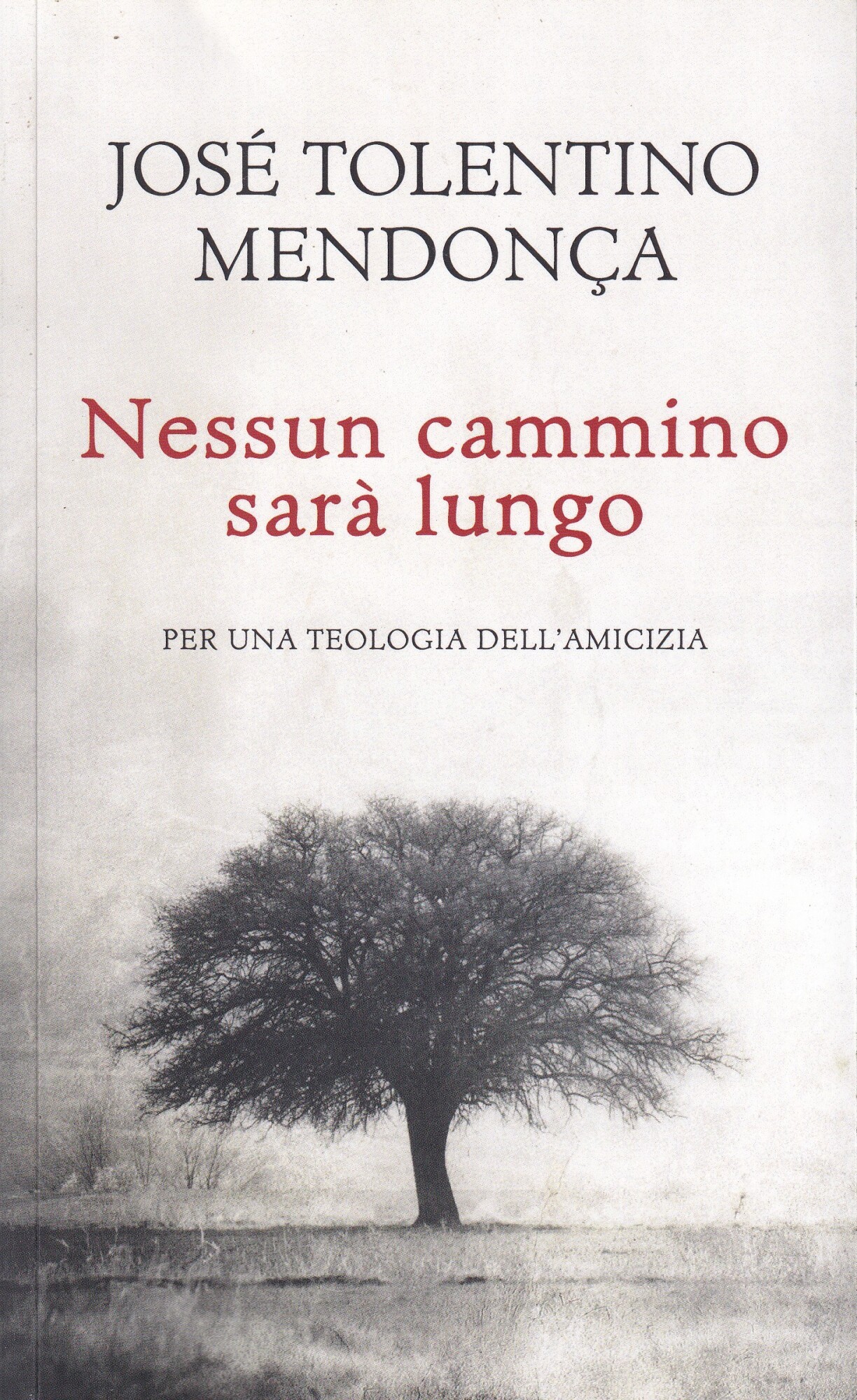 Nessun cammino sarà lungo. Per una teologia dell'amicizia