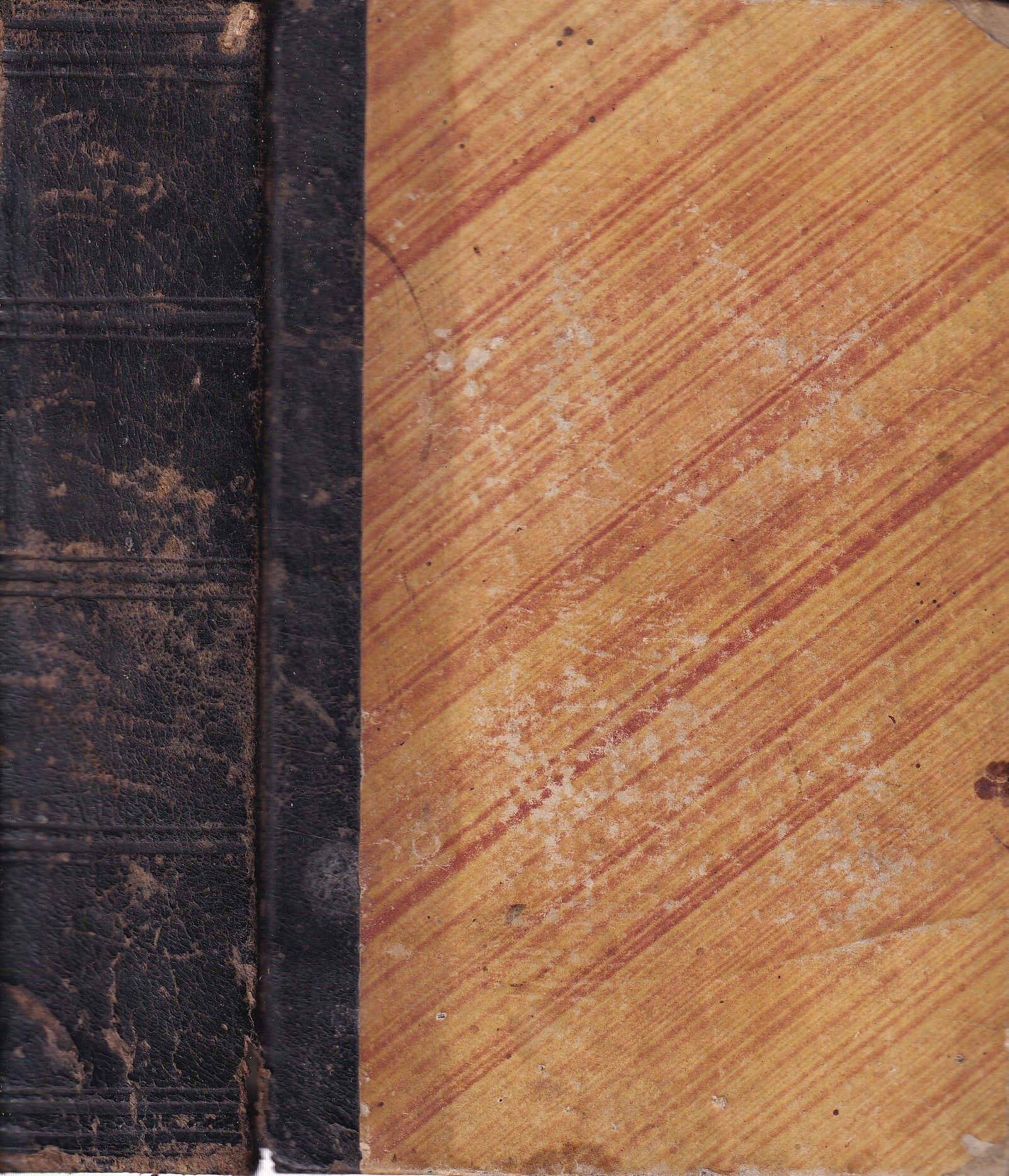 Novelliere Infantile