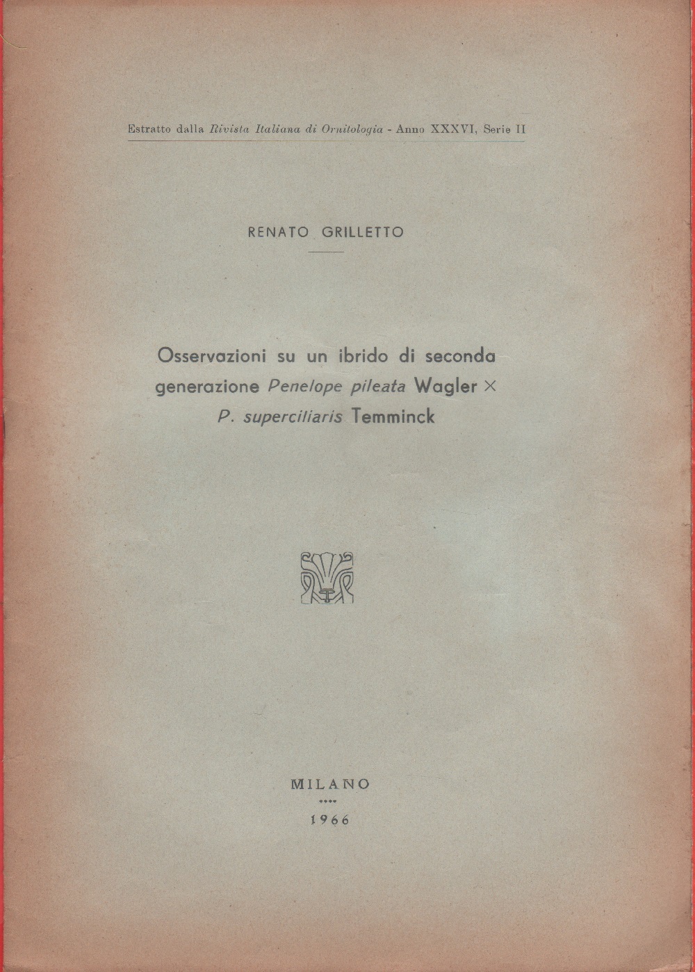 Osservazioni su un ibrido Penelope pileata W. x P. supercilaita …