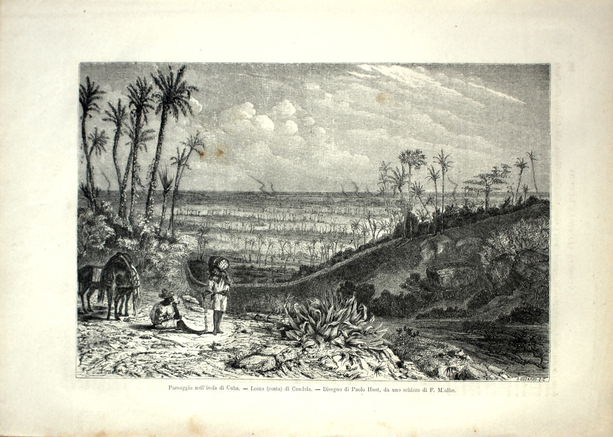 Paesaggio dell'isola di Cuba. Loma (costa) di Candela. Stampa 1864