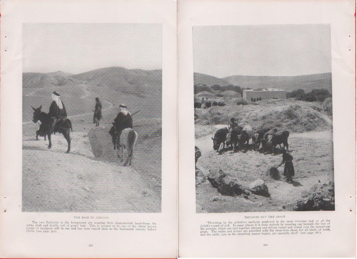 Palestine. The road to Jerico/Treading out the grain. Foto da …