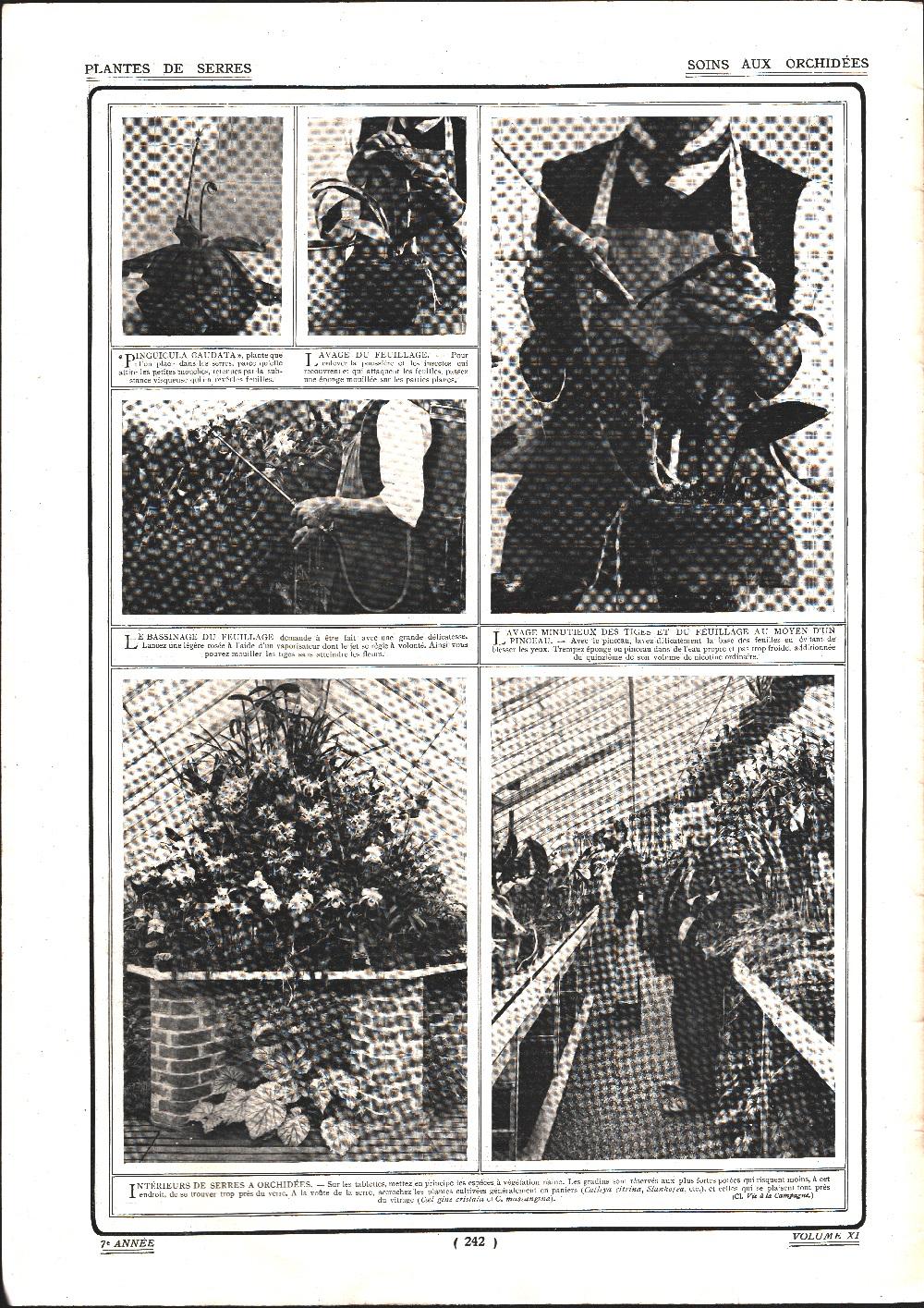 Plantes de serres. Soins aux orchidees/Du Pré, president de la …