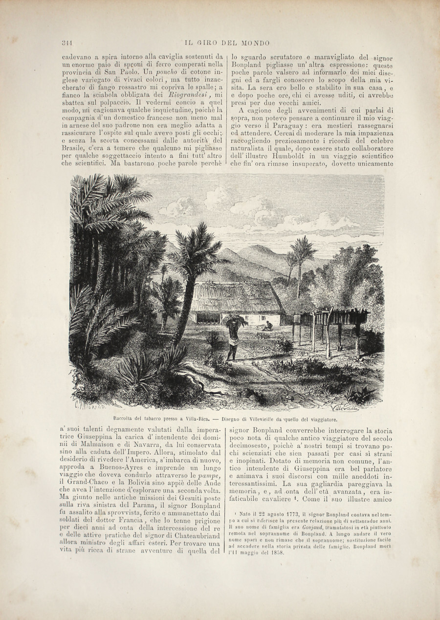 Raccolta del tabacco presso a Villa-Rica/Carta del Paraguay. Stampa 1863.