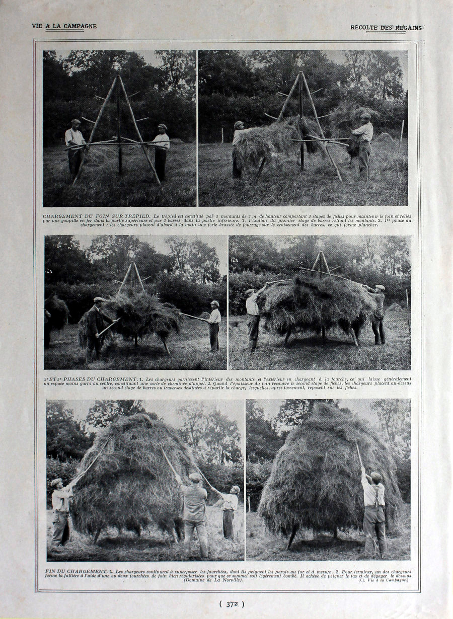 Recolte des regains. Immagine 1926