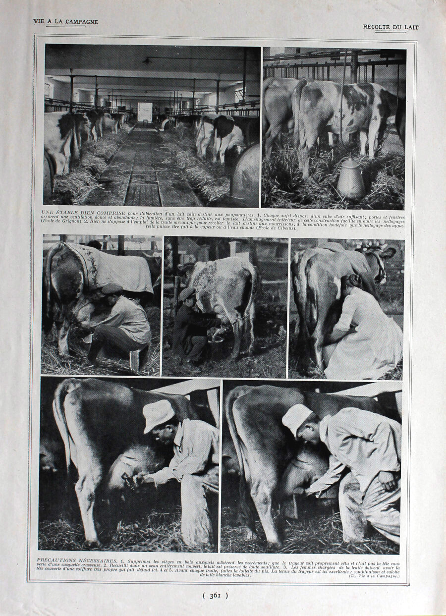 Recolte du lait / Production du lait. Immagine 1926