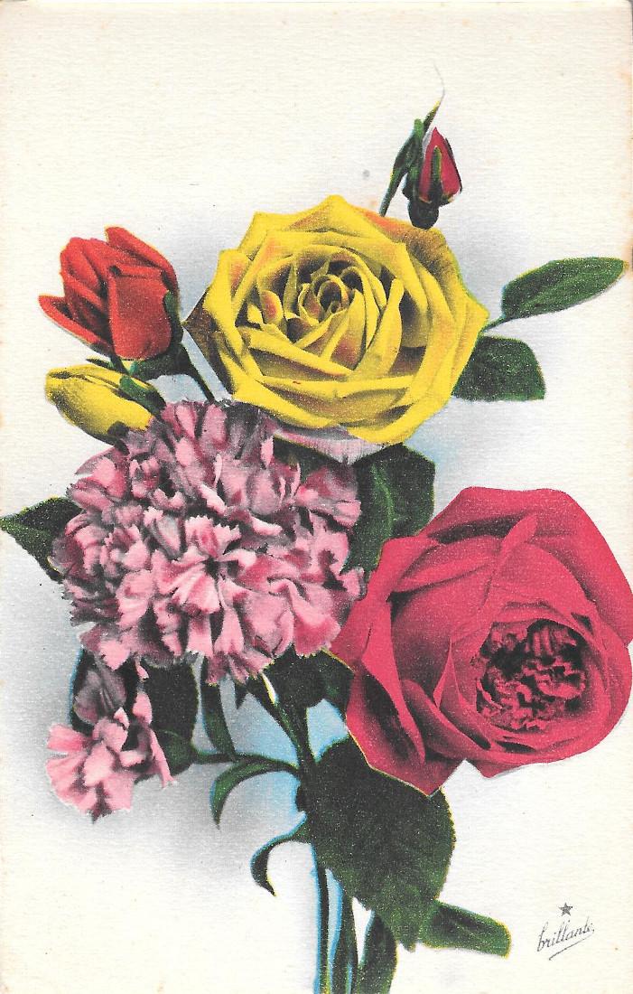 Rose e garofano. non viaggiata