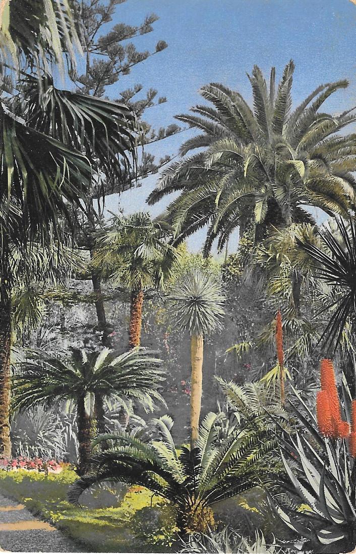 San Remo. Riviera di ponente. Non viaggiata, originale