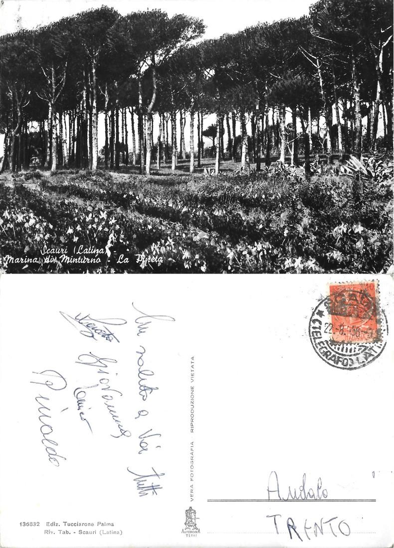 Scauri (LT). Marina di Minturno. La Pineta. Viaggiata 1958