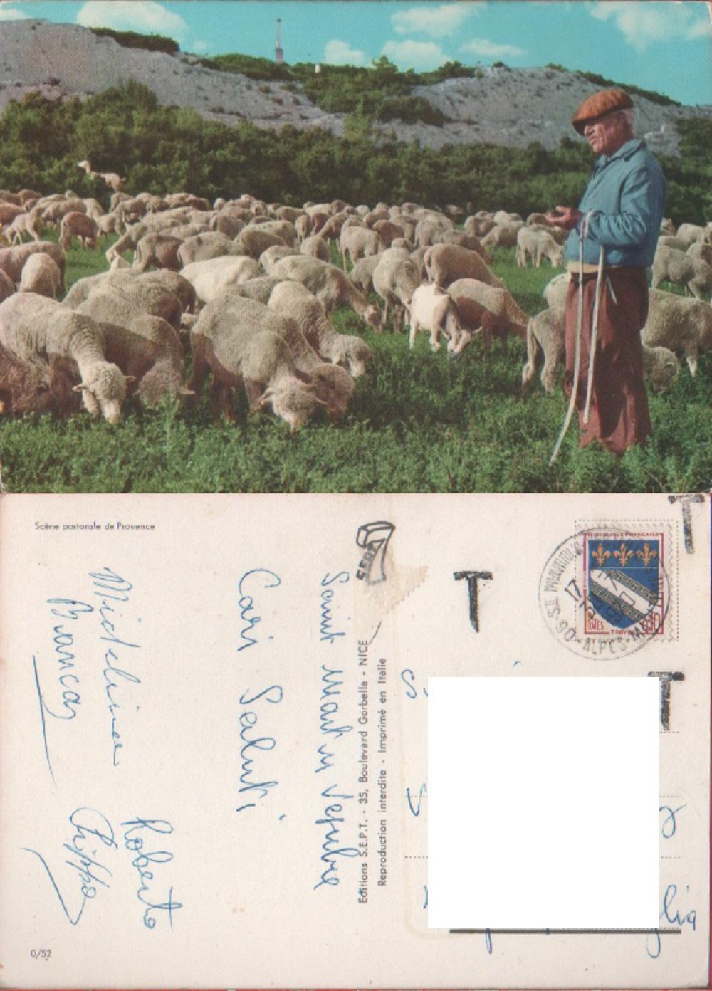 Scène pastorale Provence. Viaggiata 1970