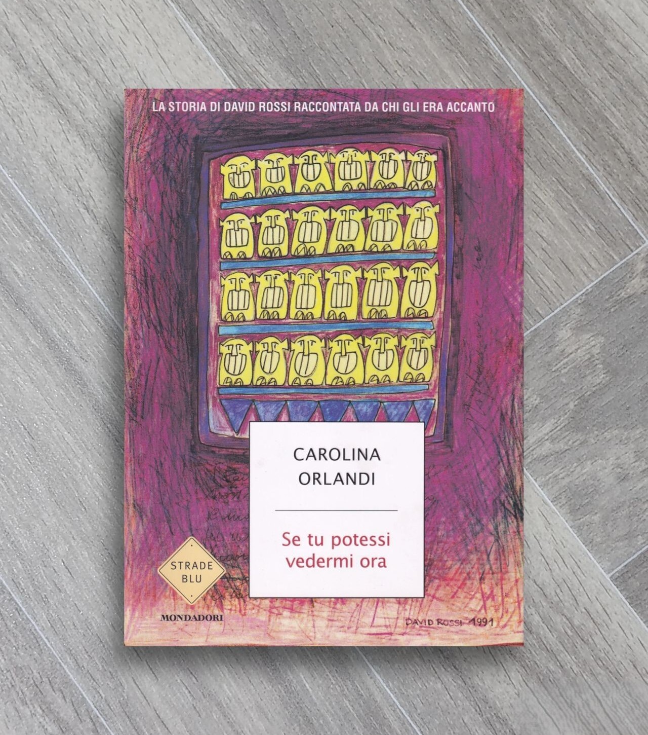 Se tu potessi vedermi ora. La storia di David Rossi …