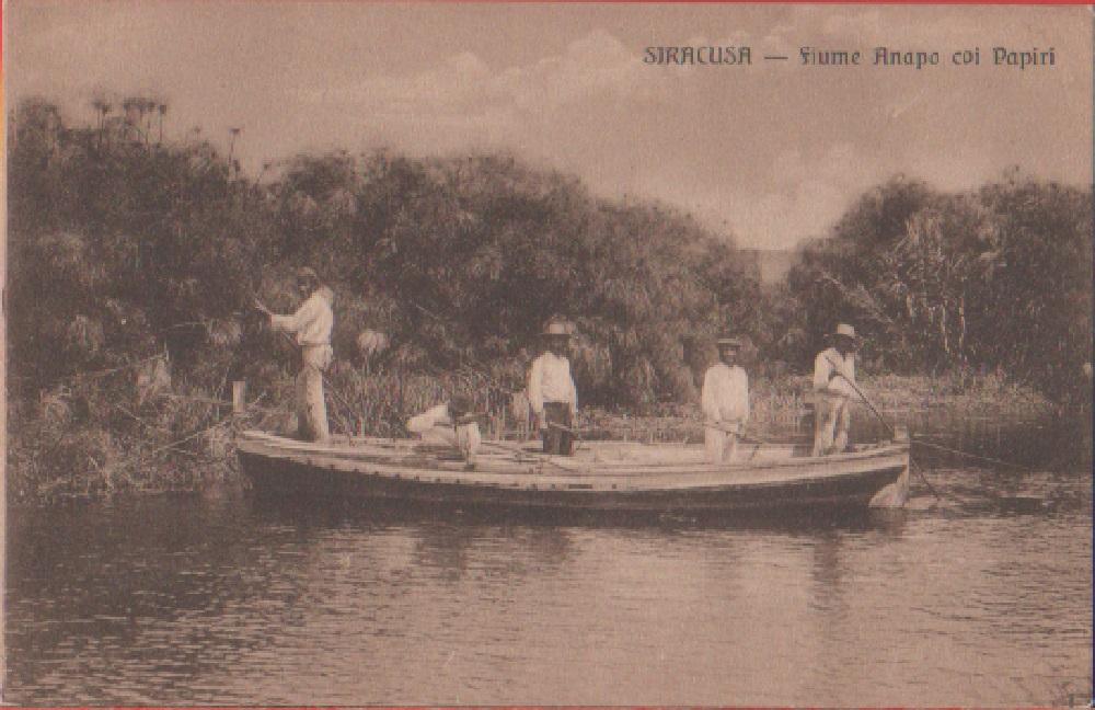Siracusa. Fiume Anapo coi Papiri. Non viaggiata