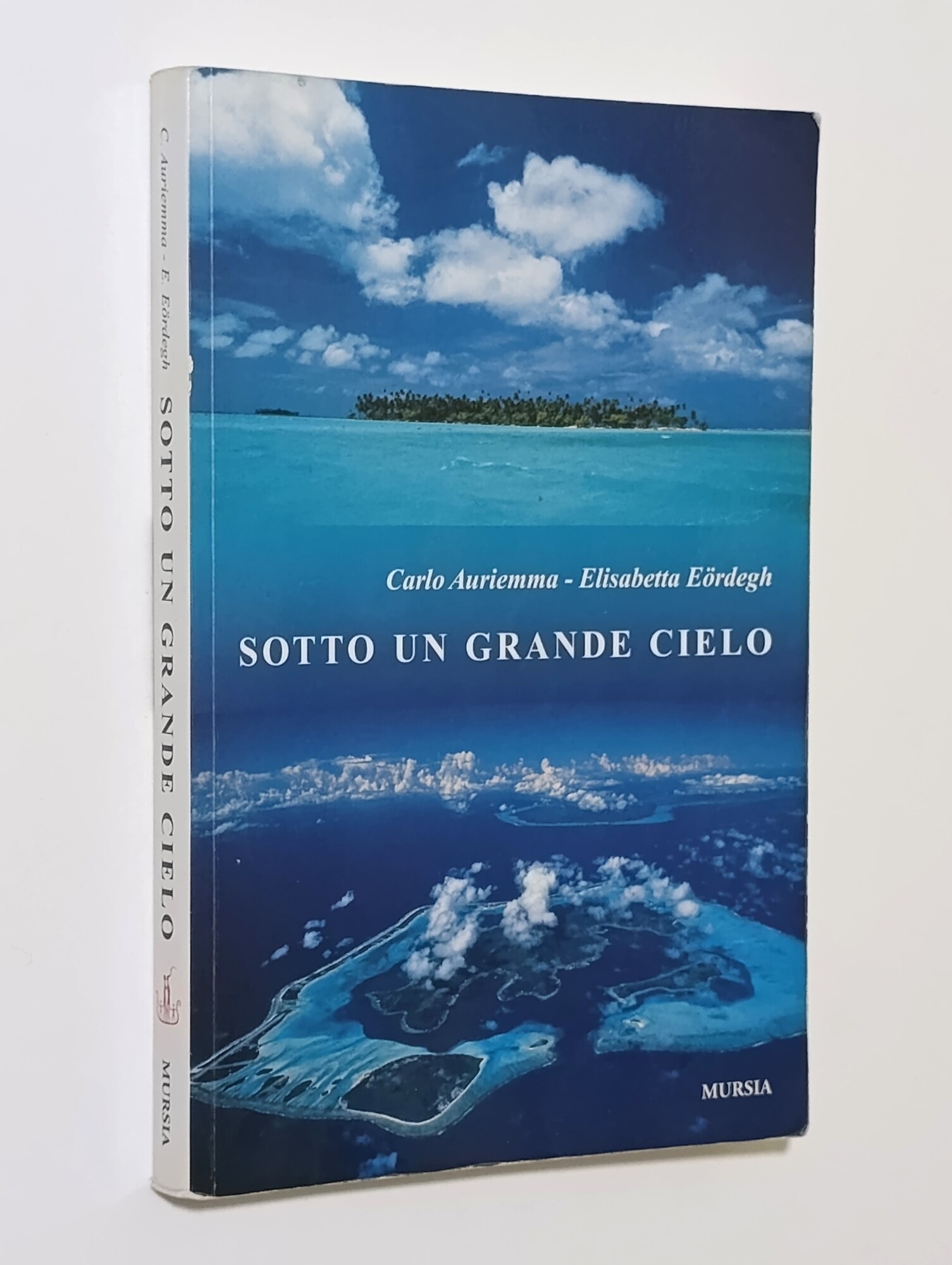 Sotto un grande cielo. Mille giorni di mare, di avventura …