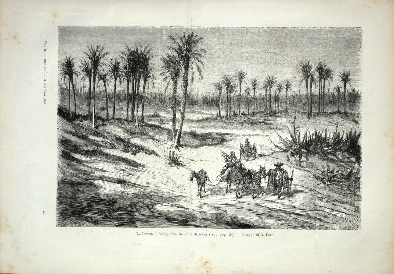 Spagna. La foresta d'Elche nelle vicinanze di Alcoy. Stampa 1864, …