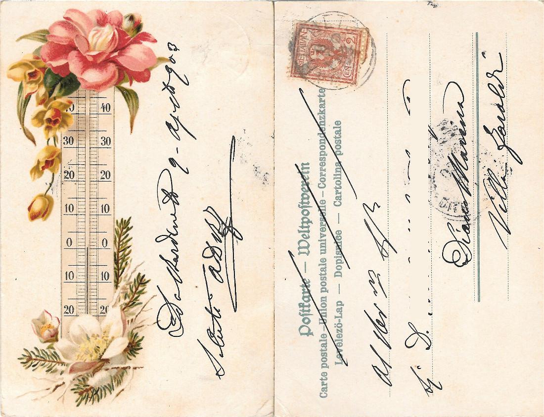 Termometro con fiori. Viaggiata 1903