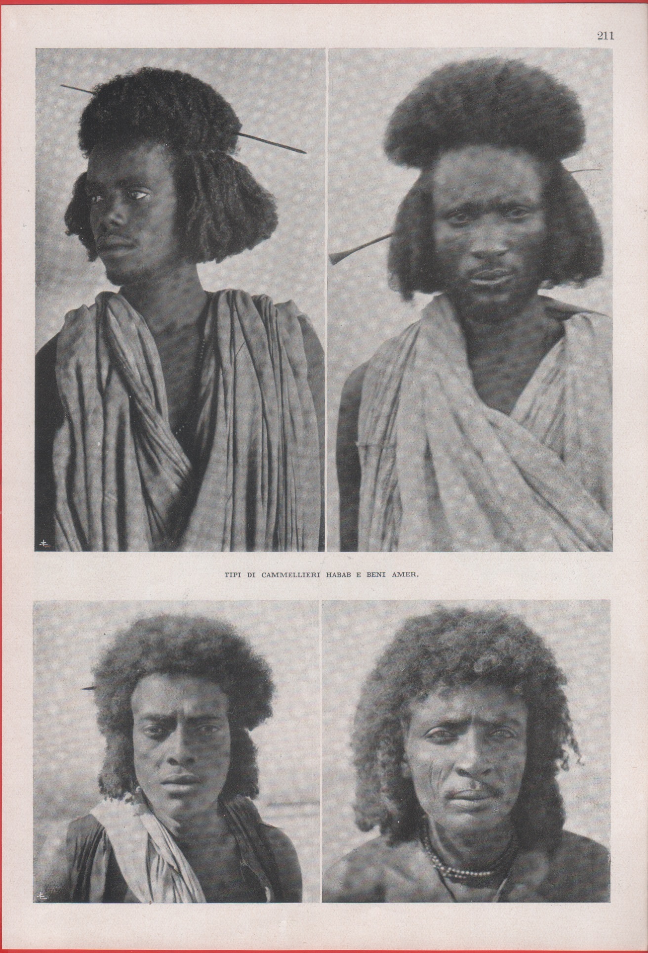 Tipi di camellieri Habab e Beni Amer (Sahel). Immagine 1937