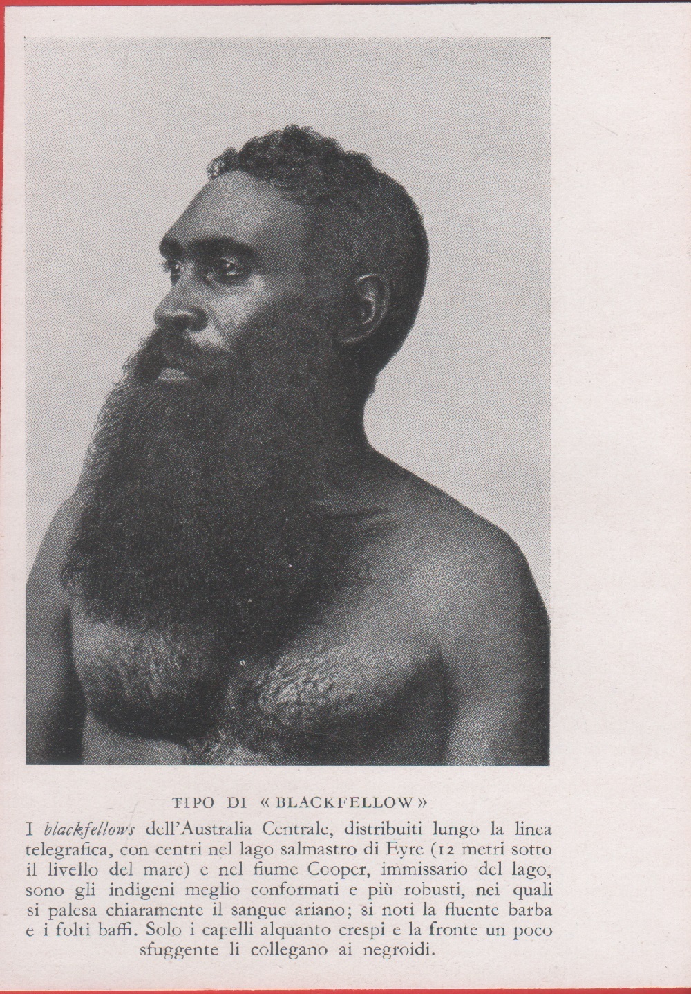 Tipo di Blackfellow (Australia). Immagine 1937