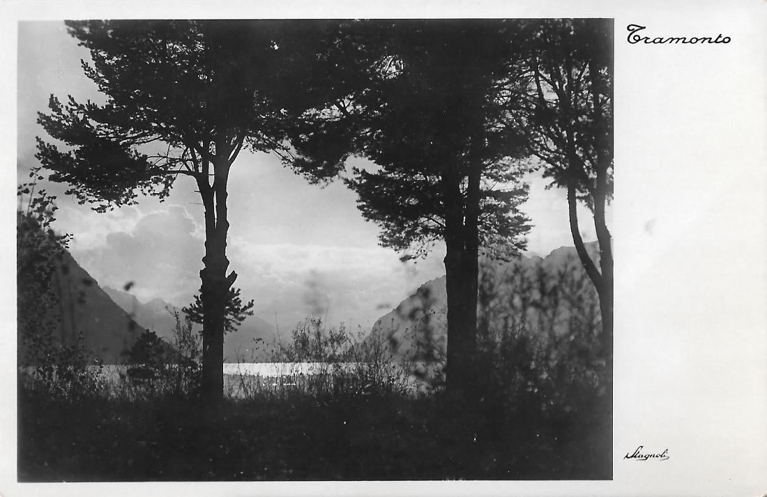 Tramonto. Bosco. Non viaggiata, originale