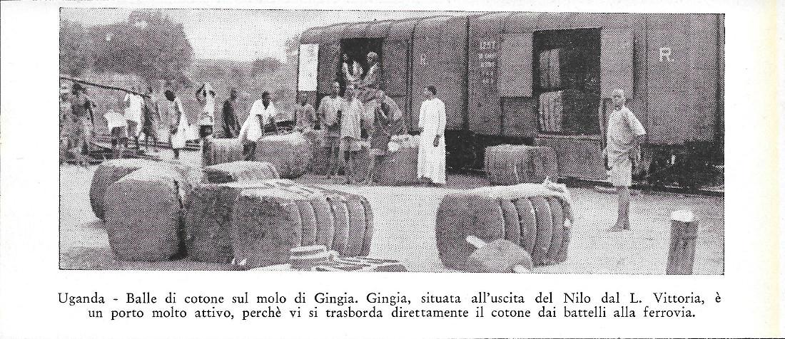 Uganda. Balle di cotone sul molo di Gingia. Stampa 1934