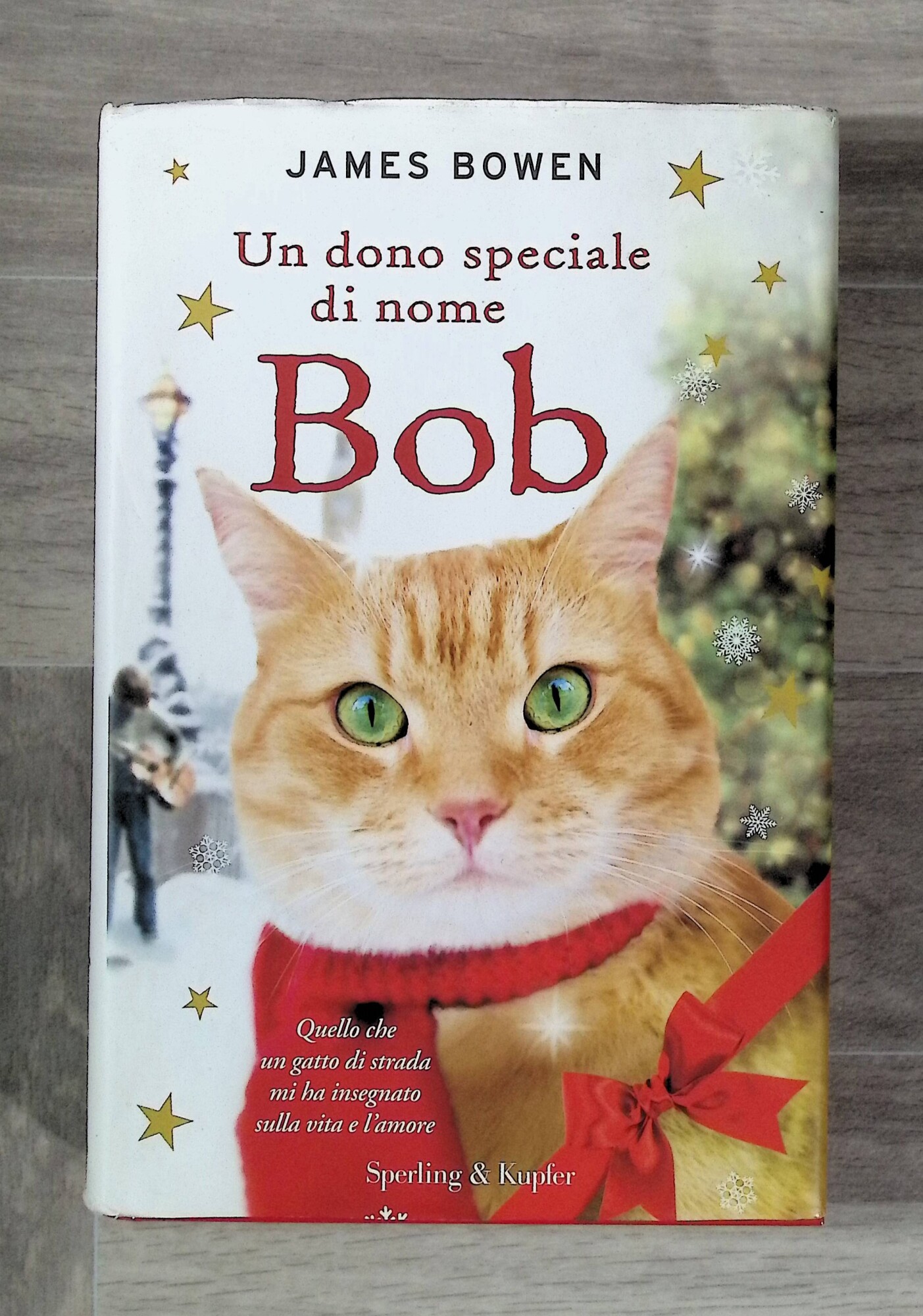 Un dono speciale di nome Bob