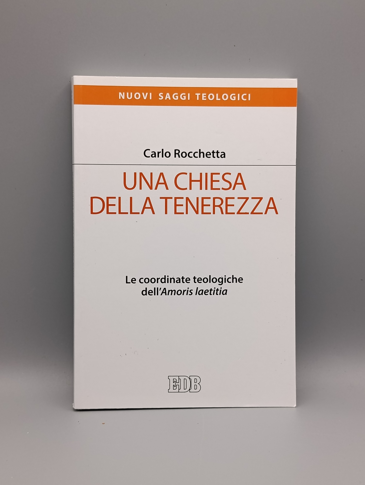Una Chiesa della tenerezza. Le coordinate teologiche dell'«Amoris laetitia»