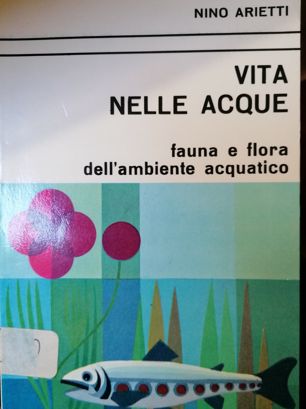 Vita nelle acque