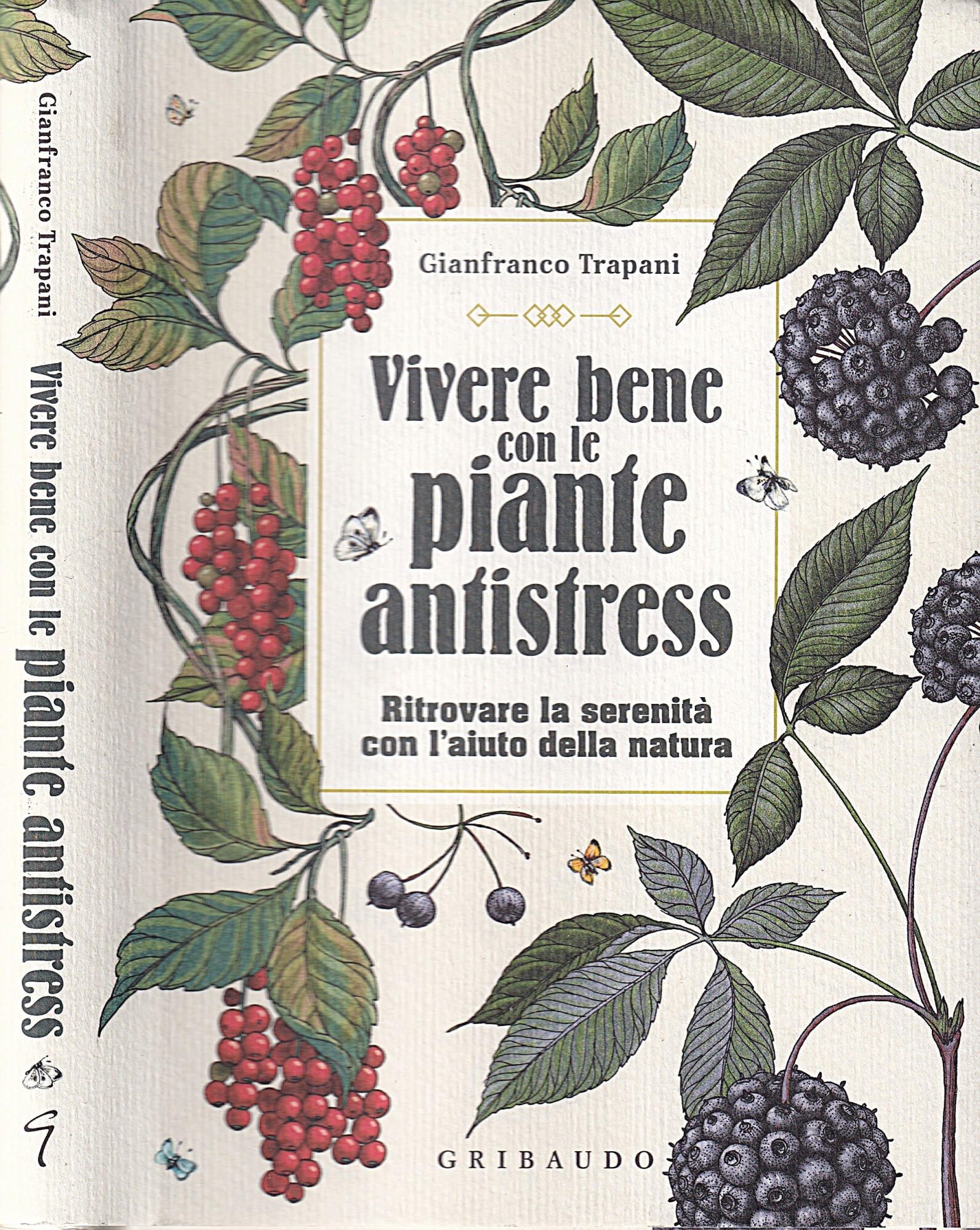 Vivere bene con le piante antistress