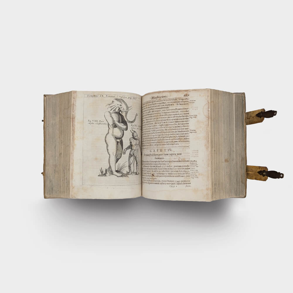 SCHOTT Casparis. Physica curiosa