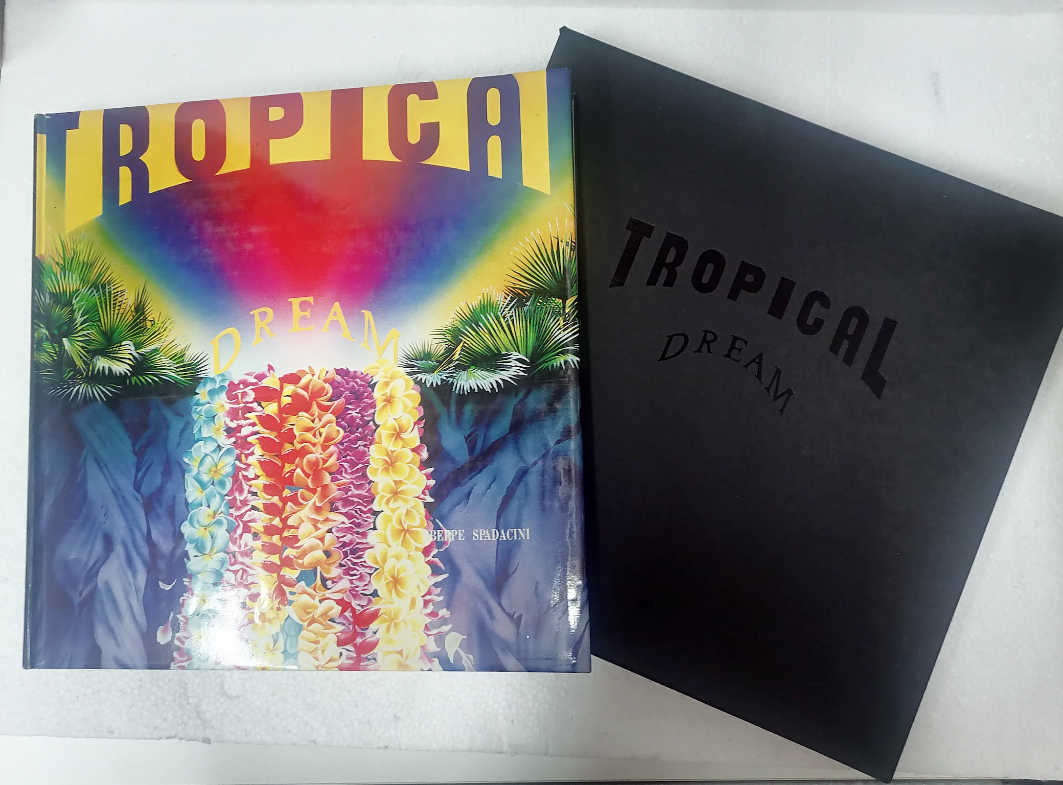 Tropical Dream