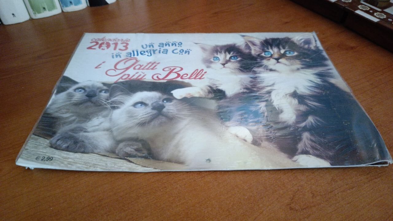 Calendario 2013 - I gatti più belli