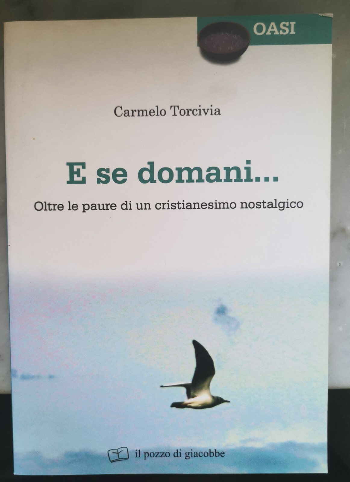 " E SE DOMANI..." - CARMELO TORCIVIA, 2013