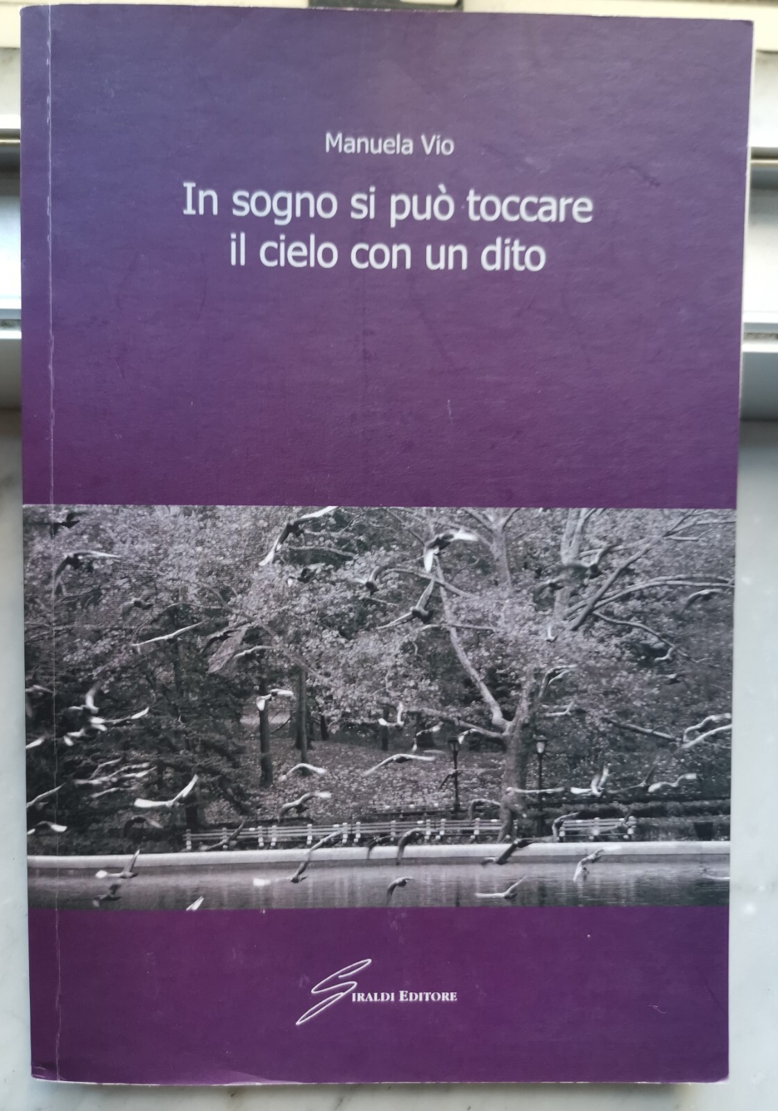 " IN SOGNO SI PUÒ TOCCARE IL CIELO CON UN …