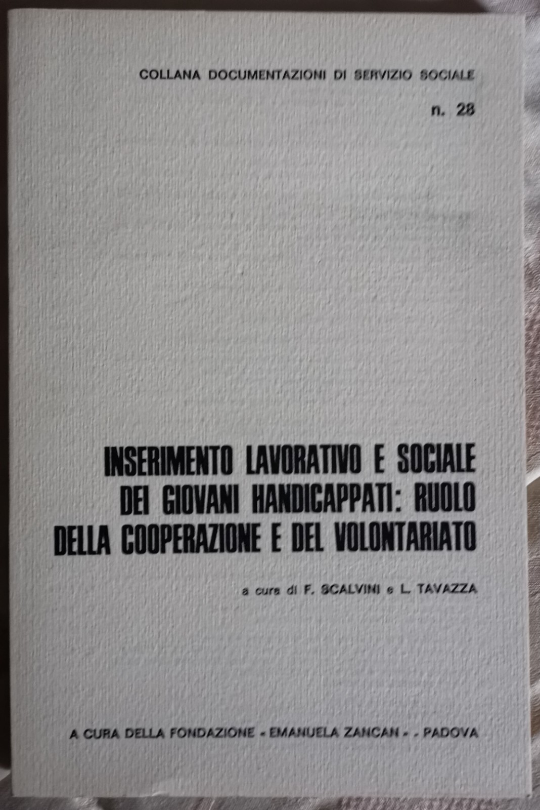 " INSERIMENTO LAVORATIVO E SOCIALE DEI GIOVANI HANDICAPPATI N.28 " …
