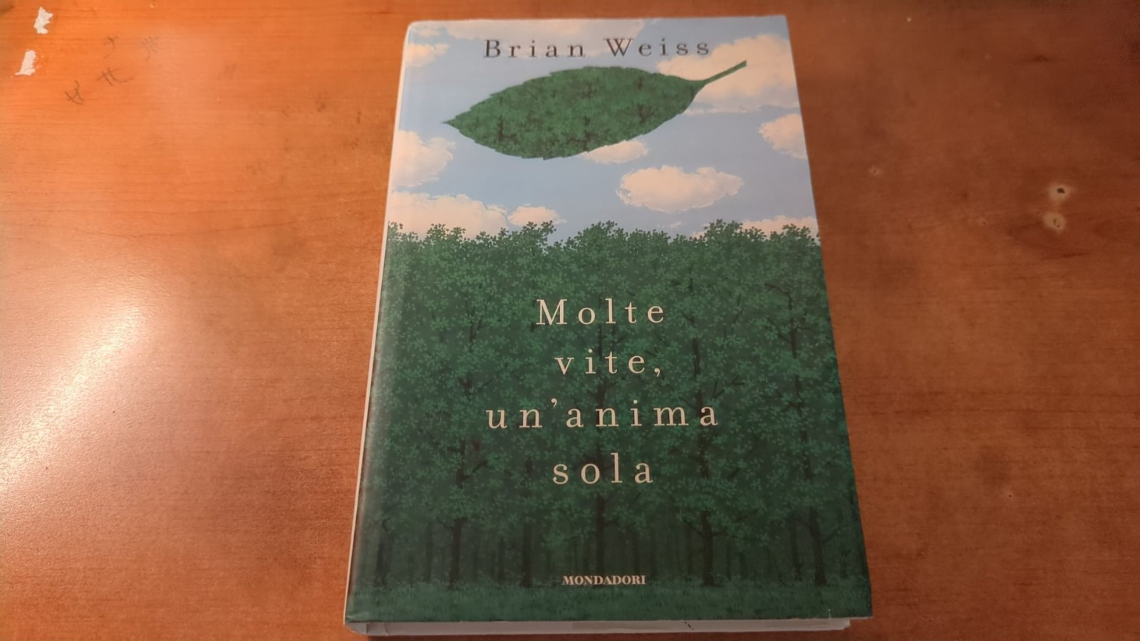Molte vite, un'anima sola- Weiss 2007