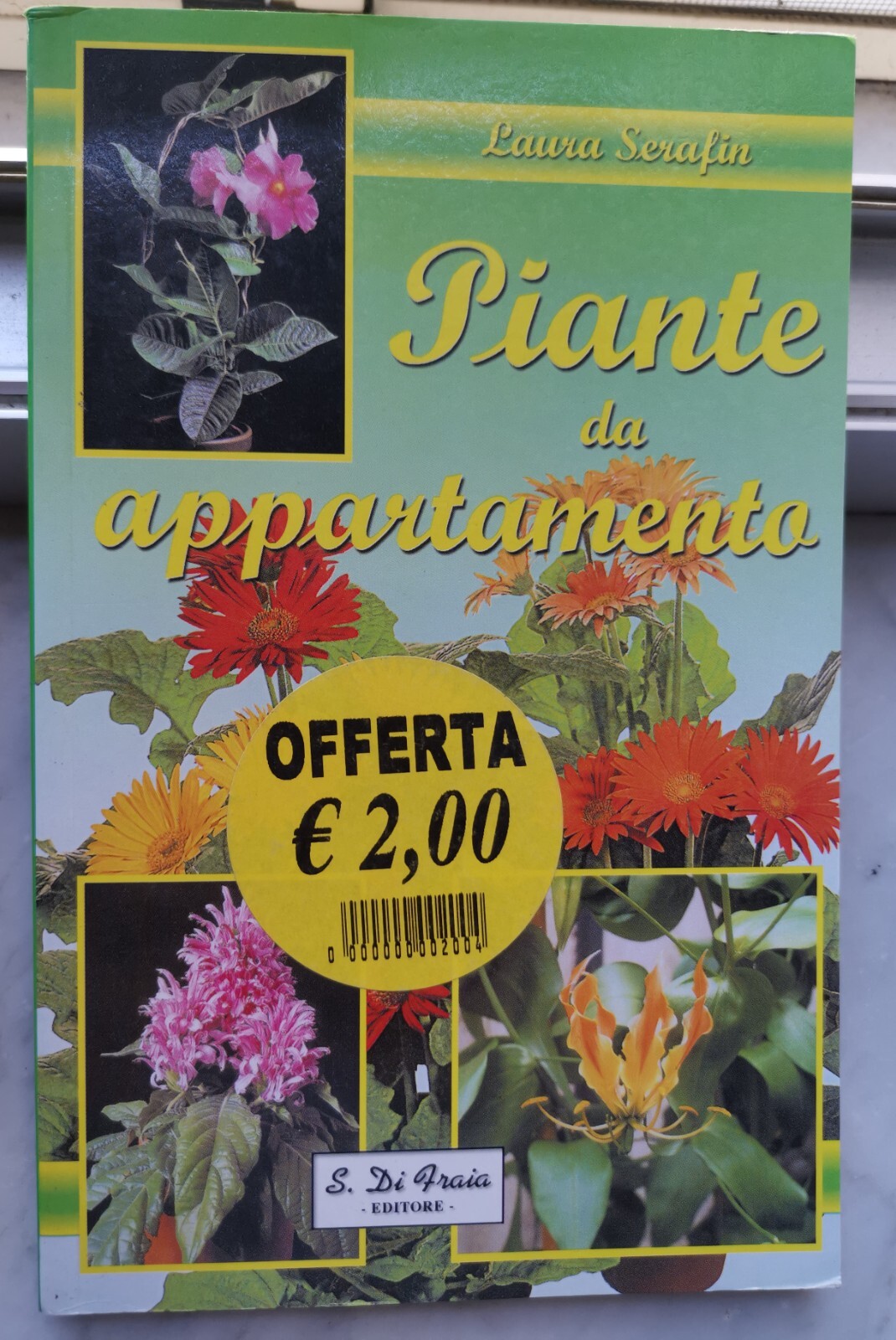 " PIANTE DA APPARTAMENTO " - LAURA SERAFIN , 2001
