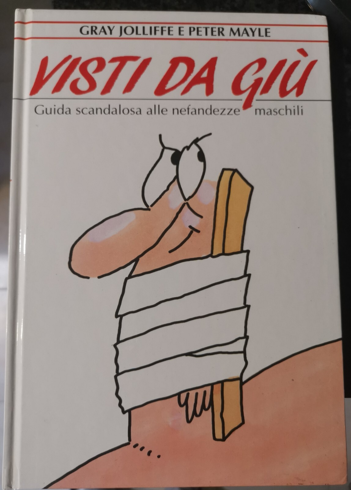 " VISTI DA GIU' - GUIDA SCANDALOSA ALLE NEFANDEZZE MASCHILI …