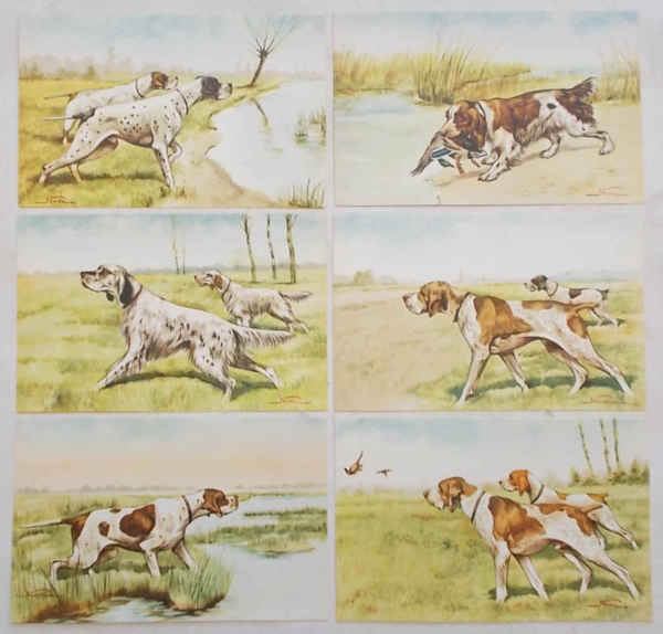 Serie di 6 cartoline originali di Caccia e Cani da …