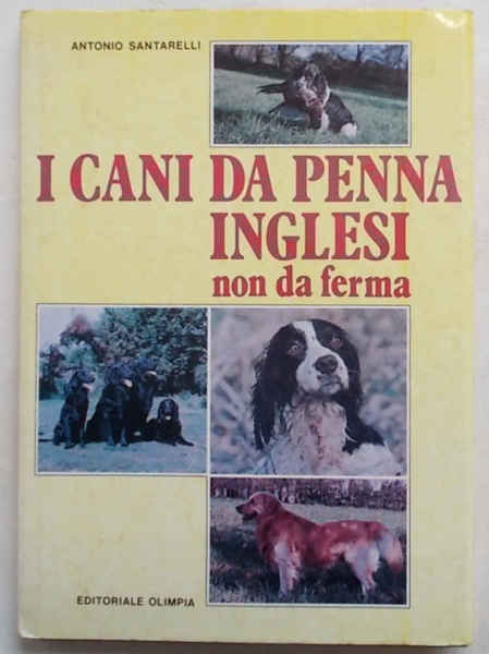 I cani da penna inglesi non da ferma. (Spaniels e …