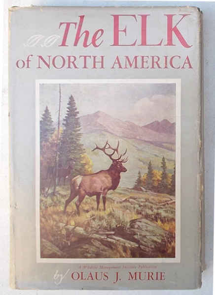 The elk of North America.