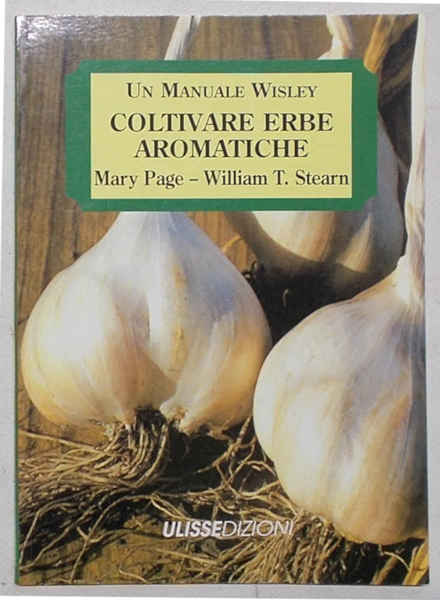 Coltivare erbe aromatiche di utilizzo in cucina.