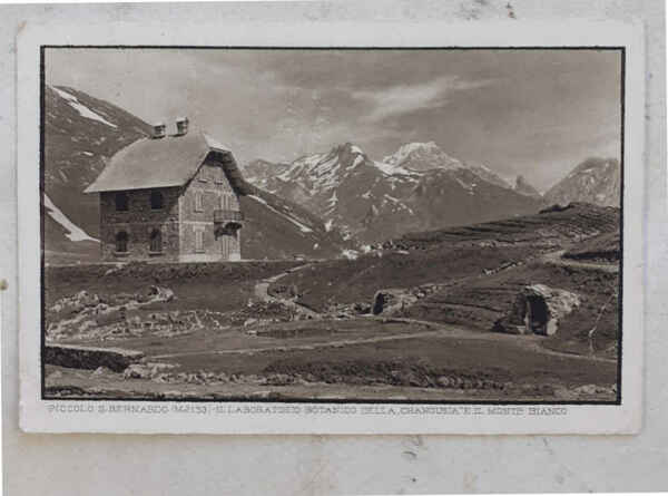 Il laboratorio botanico della Chanousia e il Monte Bianco. Piccolo …
