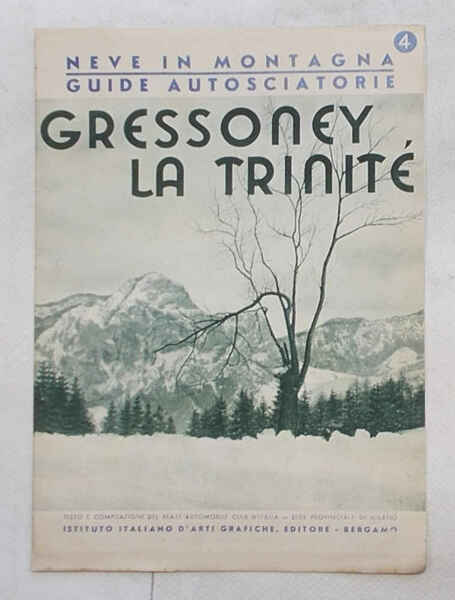 Gressoney La Trinité. (Neve in Montagna. Guide autosciatorie. 4)